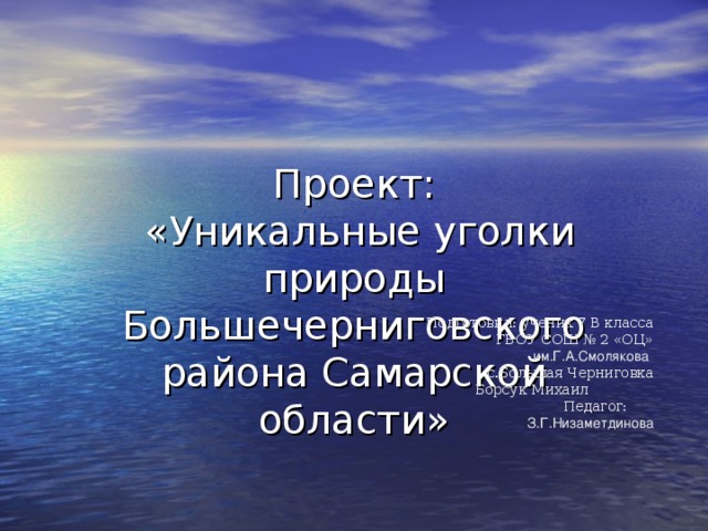 Проект:  «Уникальные уголки природы Большечерниговского района Самарской области»  Подготовил: ученик 7 В класса ГБОУ СОШ № 2 «ОЦ» им.Г.А.Смолякова  с.Большая Черниговка Борсук Михаил  Педагог:  З.Г.Низаметдинова 