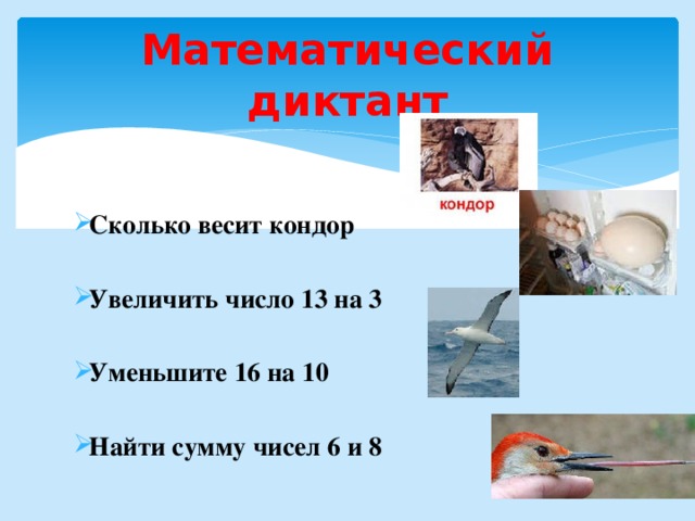 Математический диктант Сколько весит кондор  Увеличить число 13 на 3  Уменьшите 16 на 10  Найти сумму чисел 6 и 8  