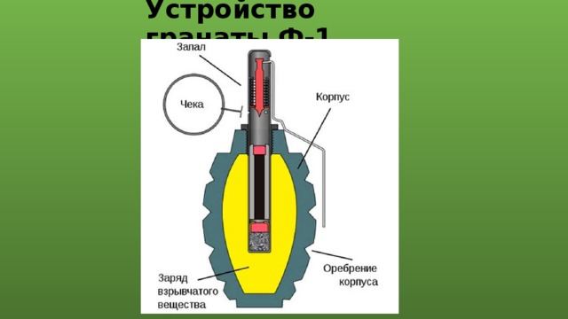 Устройство гранаты Ф-1 
