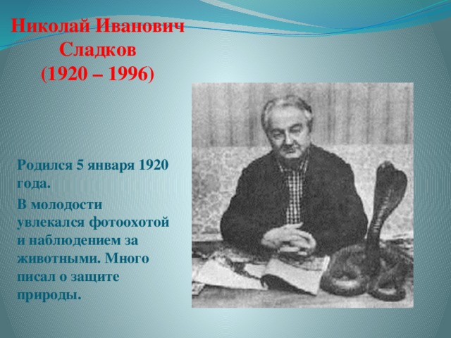 Николай Иванович  Сладков  (1920 – 1996) Родился 5 января 1920 года. В молодости увлекался фотоохотой и наблюдением за животными. Много писал о защите природы. 