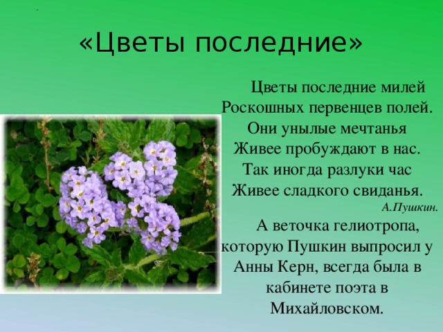 Цветы последние милей тема. Цветы последние милей. Стихотворение цветы последние милей. Пушкин цветы последние милей. Стихотворение цветы последние милей роскошных первенцев полей.