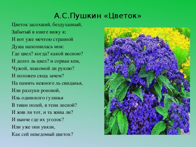 А.С.Пушкин «Цветок» Цветок засохший, бездуханный, Забытый в книге вижу я; И вот уже мечтою странной Душа наполнилась моя: Где цвел? когда? какой весною? И долго ль цвел? и сорван кем, Чужой, знакомой ли рукою? И положен сюда зачем? На память нежного ль свиданья, Или разлуки роковой, Иль одинокого гулянья В тиши полей, в тени лесной? И жив ли тот, и та жива ли? И нынче где их уголок? Или уже они увяли, Как сей неведомый цветок?
