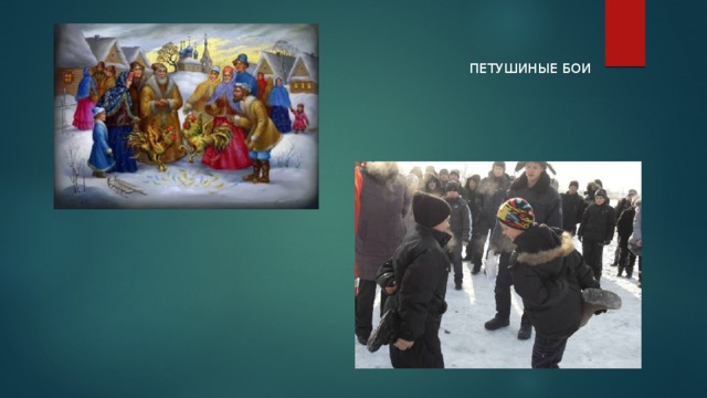 ПЕТУШИНЫЕ БОИ 