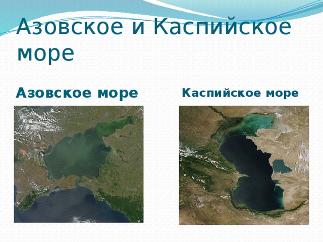Азовское и Каспийское море Азовское море Каспийское море 