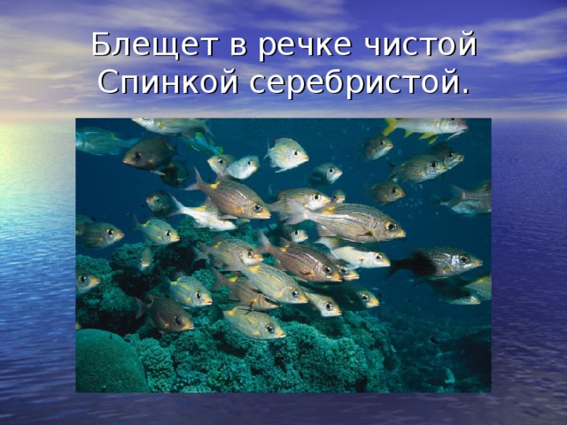 Блещет в речке чистой  Спинкой серебристой.