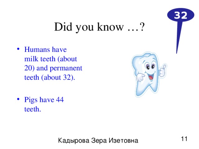 32 Did you know …? Humans have milk teeth (about 20) and permanent teeth (about 32).  Pigs have 44 teeth. 11 Кадырова Зера Изетовна 