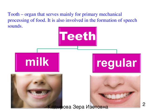 Tooth – organ that serves mainly for primary mechanical processing of food. It is also involved in the formation of speech sounds. 2 Кадырова Зера Изетовна  