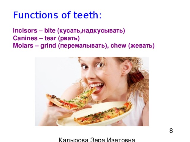 Functions of teeth: Incisors – bite (кусать,надкусывать) Canines – tear (рвать) Molars – grind (перемалывать), chew ( жевать ) 8 Кадырова Зера Изетовна 