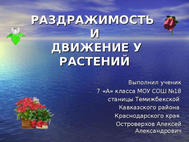 Раздражимость у растений. Зачем нужна раздражимость растениям 5 класс.