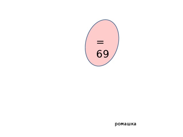 = 69 ромашка 