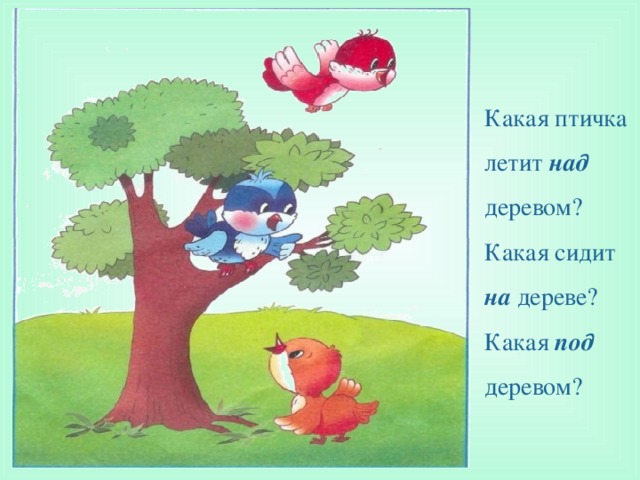 Сколько птиц сидит на дереве. Картина для детей для ориентировки в пространстве. Ориентация в пространстве картинки. Ориентировка в пространстве над под. Ориентирование в пространстве для дошкольников.
