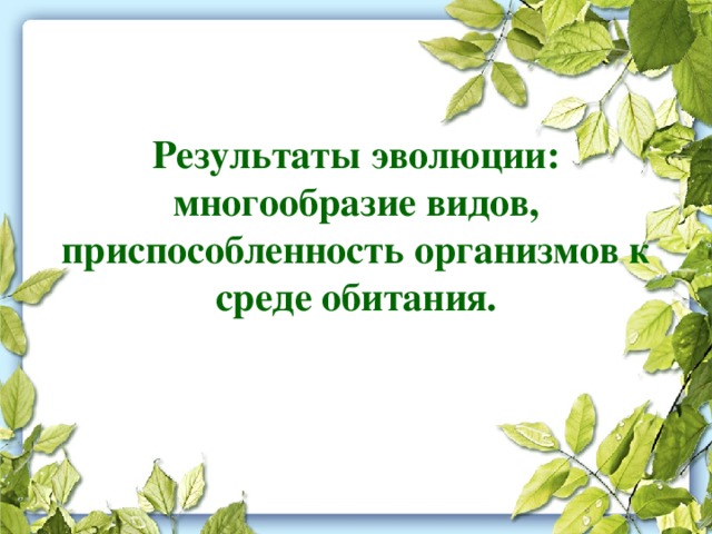 Результаты эволюции: многообразие видов, приспособленность организмов к среде обитания. 