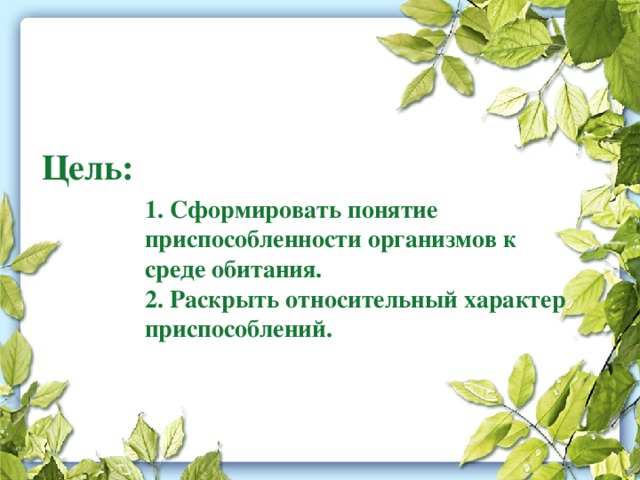 Цель: 1. Сформировать понятие приспособленности организмов к среде обитания. 2. Раскрыть относительный характер приспособлений. 