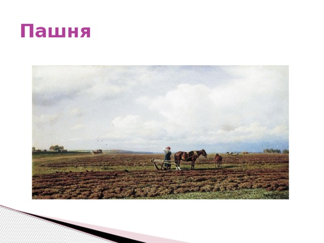 Пашня 