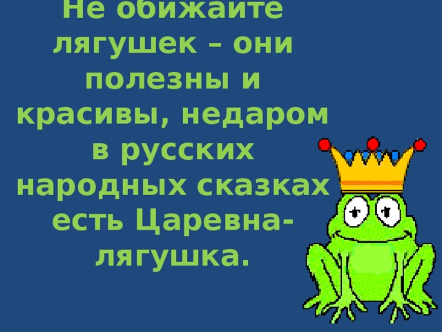 Не обижайте лягушек – они полезны и красивы, недаром в русских народных сказках есть Царевна-лягушка. 