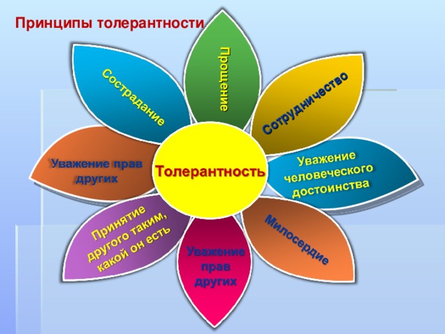 Принципы толерантности. Основные принципы толерантности. Принципы толерантности для детей. Главные принципы толерантности.