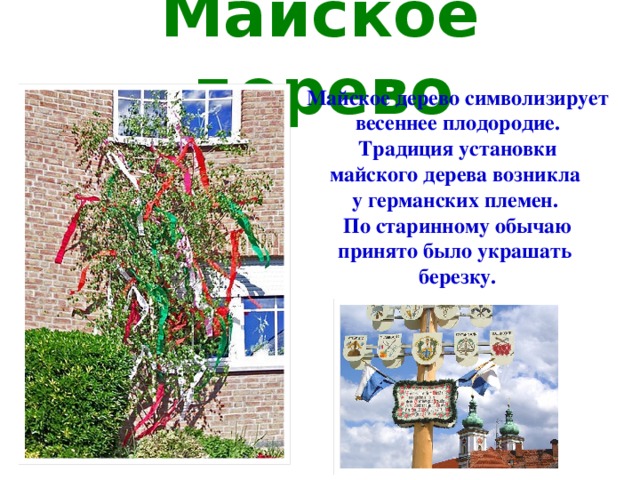 Майское дерево Майское дерево символизирует весеннее плодородие.  Традиция установки майского дерева возникла у германских племен. По старинному обычаю принято было украшать березку.