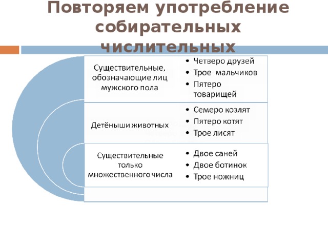 Повторяем употребление собирательных числительных Двое подруг Четверо женщин Обеих берегах Пятеро учениц  