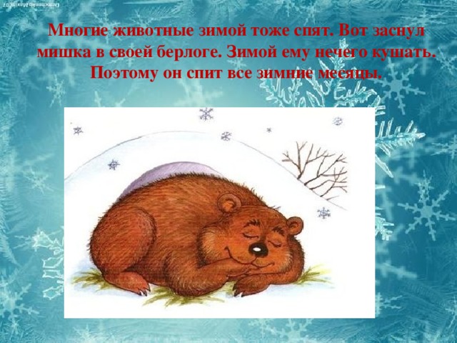 Многие животные зимой тоже спят. Вот заснул мишка в своей берлоге. Зимой ему нечего кушать. Поэтому он спит все зимние месяцы. 