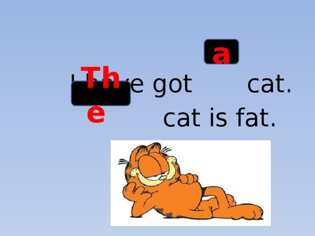 I have got cat.  cat is fat. a The
