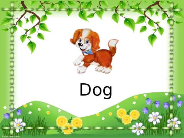 Dog 