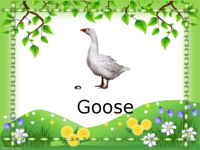 Goose 