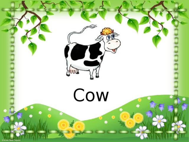 Cow 