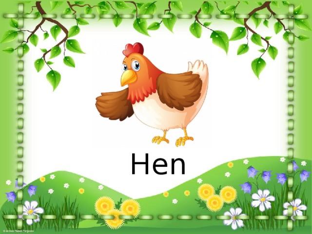 Hen 