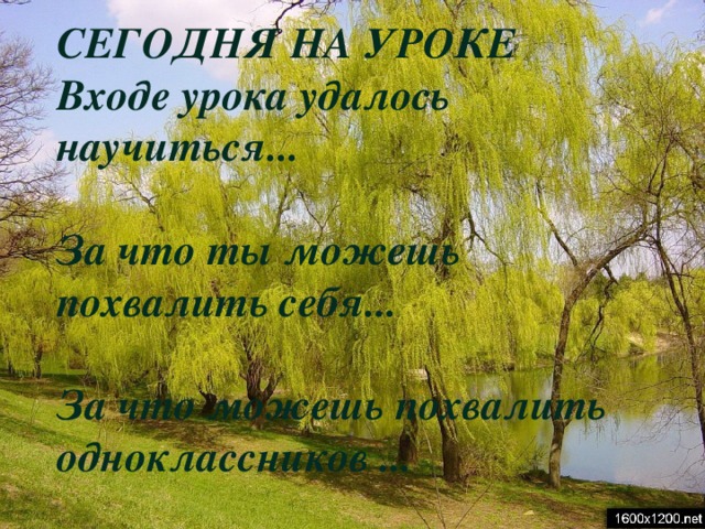 СЕГОДНЯ НА УРОКЕ Входе урока удалось научиться...  За что ты можешь похвалить себя...  За что можешь похвалить одноклассников ...  