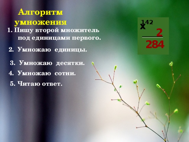  Алгоритм умножения  142   Пишу второй множитель   под единицами первого.       х 2 8 2 4 2. Умножаю единицы. 3. Умножаю десятки. 4. Умножаю сотни. 5. Читаю ответ. 