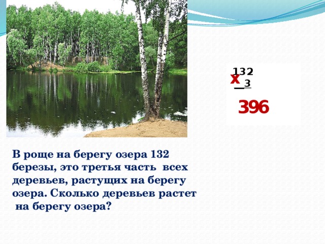  132  __3        х 6 9 3 В роще на берегу озера 132 березы, это третья часть всех деревьев, растущих на берегу озера. Сколько деревьев растет  на берегу озера? 