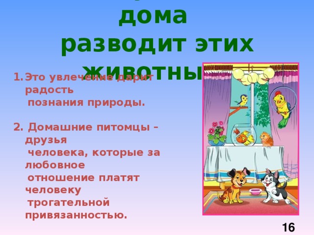 Почему человек дома разводит этих животных? Это увлечение дарит радость  познания природы.  2. Домашние питомцы – друзья  человека, которые за любовное  отношение платят человеку  трогательной привязанностью.  3 . Некоторые люди в домашних  условиях, выводят новые линии  рыб или птиц.  16 