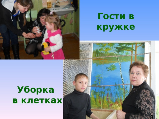 Гости в кружке Уборка в клетках  