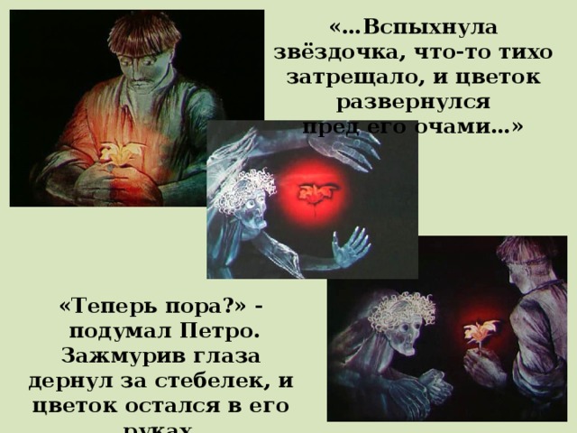«…Вспыхнула звёздочка, что-то тихо затрещало, и цветок развернулся пред его очами…» «Теперь пора?» -  подумал Петро. Зажмурив глаза дернул за стебелек, и цветок остался в его руках. 