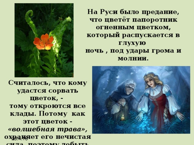 На Руси было предание, что цветёт папоротник огненным цветком, который распускается в глухую ночь , под удары грома и молнии. Считалось, что кому удастся сорвать цветок, - тому откроются все клады. Потому как этот цветок - «волшебная  трава», охраняет его нечистая сила, поэтому добыть его трудно. 