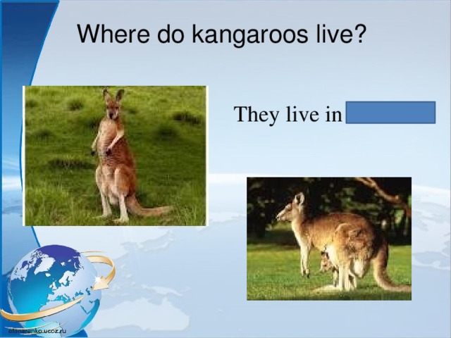 Where do kangaroos live? They live in Australia. 