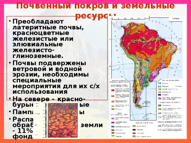 Почвенный покров и земельные ресурсы Преобладают латеритные почвы, красноцветные железистые или элювиальные железисто-глиноземные. Почвы подвержены ветровой и водной эрозии, необходимы специальные мероприятия для их с/х использования На севере – красно-бурые и коричневые Пампа – черноземы Распаханные и обрабатываемые земли - 11% земельного фонда. 