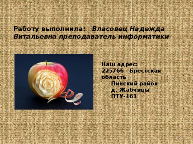 Работу выполнила:   Власовец Надежда Витальевна преподаватель информатики Наш адрес: 225766 Брестская область  Пинский район  д. Жабчицы  ПТУ-161   