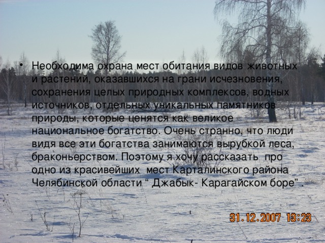 Погода в карагайском районе на 10. Джабык Карагайский Бор памятник природы. Карагайский Бор растения. Легенды Карагайского Бора. Карта Джабык Карагайского заповедниках.