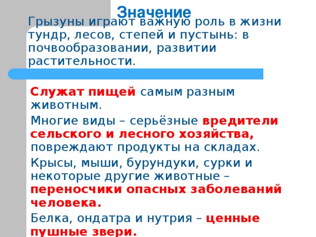 Какова роль грызунов в природе. Значение грызунов в жизни человека. Отряд Грызуны значение в природе и в жизни человека. Значение грызунов в природе. Значение грызунов млекопитающих в природе и жизни человека.