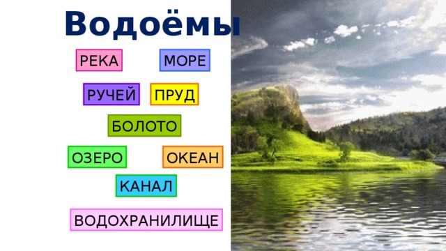 Океан река море озеро пруд как назвать одним словом