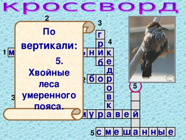 Составьте кроссворд животные растения умеренных поясов. Кроссворд про животных умеренного пояса. Кроссворд на тему леса умеренного пояса. Кроссворд на тему растения и животные умеренного пояса. Леса умеренного пояса кроссворд.