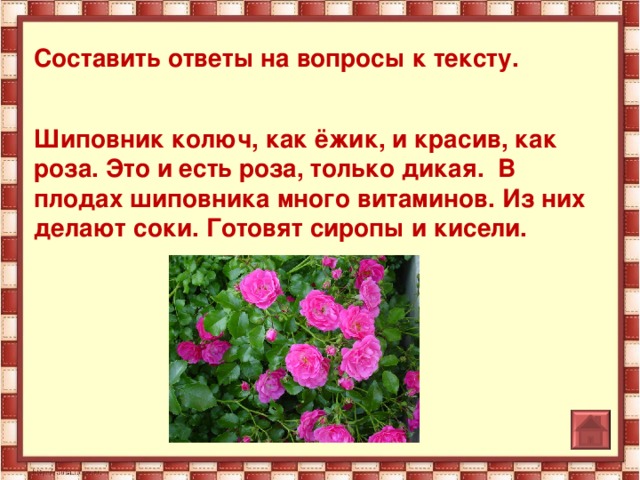 Составить ответ. Составь ответы на вопросы. Колючий шиповник краткое прилагательное. Ответы на вопросы в этом тексте. Красный цветок вопросы по тексту с ответами.