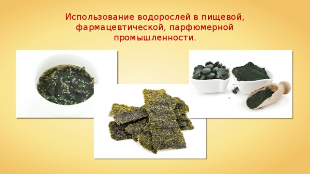 Использование водорослей в пищевой, фармацевтической, парфюмерной промышленности. 