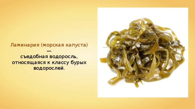 Ламинария (морская капуста) — съедобная водоросль, относящаяся к классу бурых водорослей. 