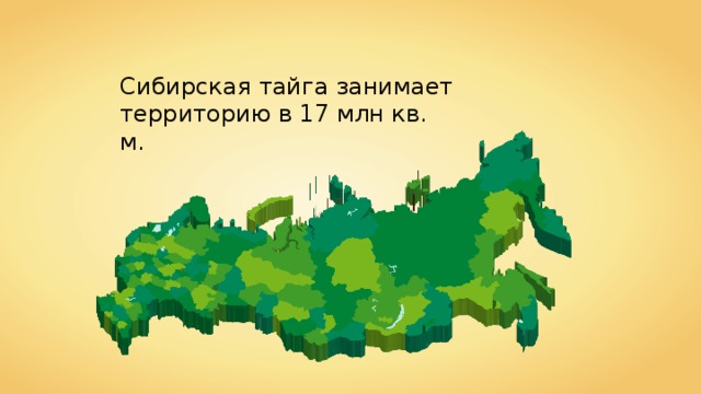 Сибирская тайга карта