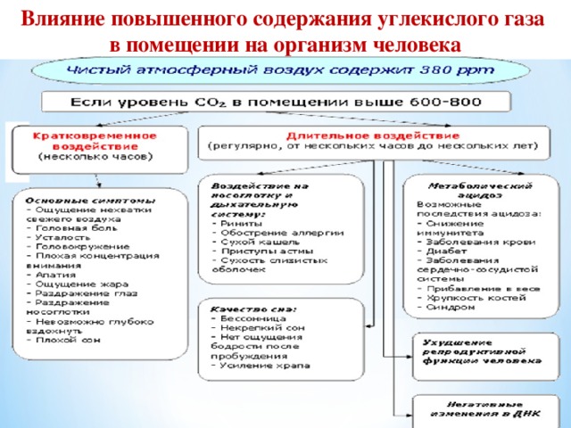 Увеличить влияние. Влияние углекислого газа на организм. Воздействие на организм углекислого газа. Влияние на человека повышенного содержания углекислого газа. Влияние диоксида углерода на организм человека.