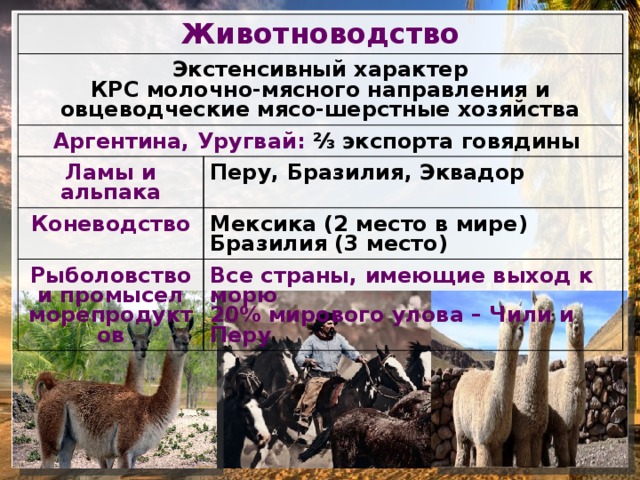 Хозяйство латинской америки кратко