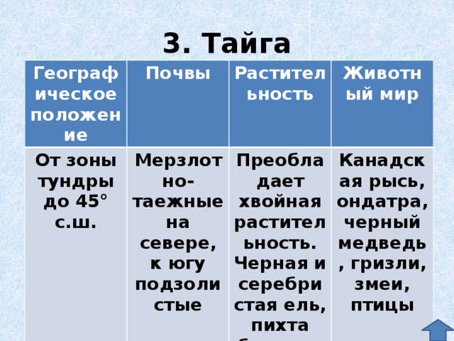 Тайга: описание и особенности природной зоны