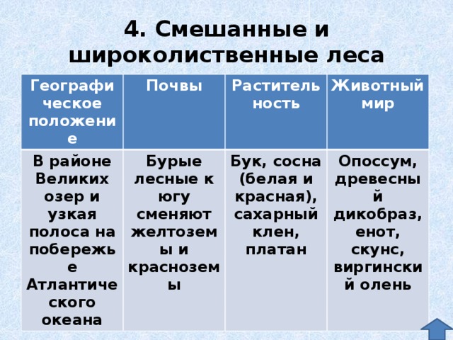 Описание природной зоны смешанные и широколиственные леса по плану 7 класс